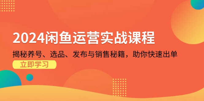 （13290期）2024闲鱼运营实战课程：揭秘养号、选品、发布与销售秘籍，助你快速出单-慕云辰风博客