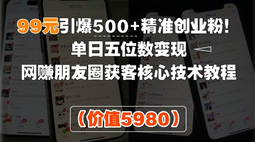 99元引爆500+精准创业粉！单日五位数变现，网创朋友圈获客核心技术教程-辰风资源站