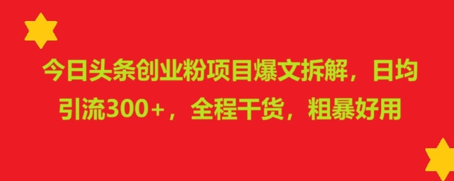 今日头条创业粉项目爆文拆解，日均引流300+，全程干货，粗暴好用-慕云辰风博客