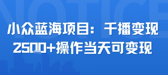 小众蓝海项目，千播变现2.5k+操作当天可变现-辰风资源站