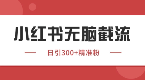 小红书只要你有同行就能获客，独家野路子获客玩法，暴力截流【揭秘】-辰风资源站