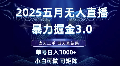 2025五月无人直播暴力掘金3.0，当天上手，当天拿结果，单号日入1k+小白可做可矩阵【揭秘】-辰风资源站
