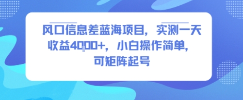 风口信息差蓝海项目，实测一天收益4k+，小白操作简单，可矩阵起号-辰风资源站