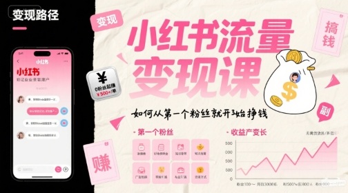 小红书流量变现课，如何从第一个粉丝就开始挣钱-辰风资源站