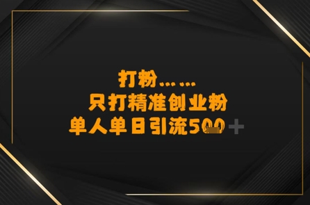 打粉只打精准创业粉，单人单日引流500+-辰风资源站