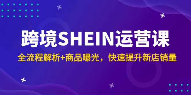 （14832期）跨境SHEIN运营课，全流程解析+商品曝光，快速提升新店销量-辰风资源站