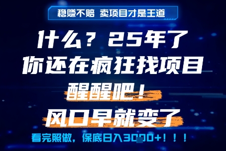 什么？25年你还在疯狂找项目做，醒醒吧，看完这些你全都懂了！【揭秘】-辰风资源站