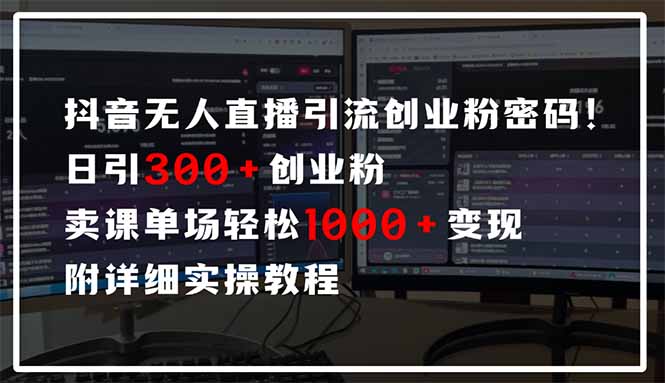 （14564期）抖音无人直播引流密码！日引300+创业粉 单场轻松1000+变现 附详细实操教程-辰风资源站