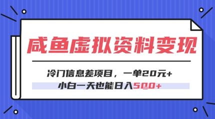 咸鱼虚拟资料变现，冷门信息差项目，一单20.小白一天也能日入5张-辰风资源站