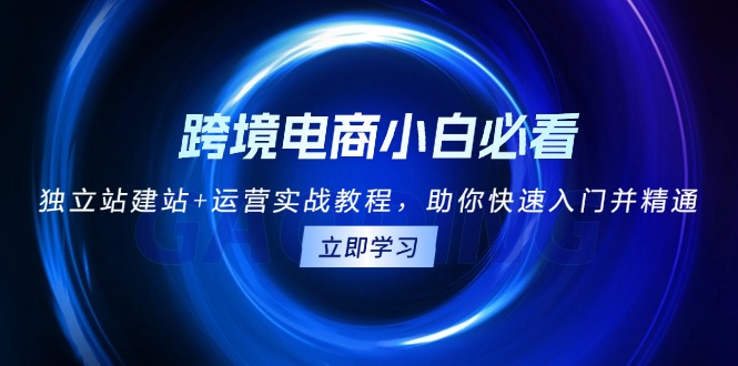 （13503期）跨境电商小白必看！独立站建站+运营实战教程，助你快速入门并精通-慕云辰风博客