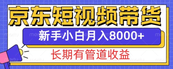 京东短视频带货新玩法，长期管道收益，新手也能月入8000+-辰风资源站