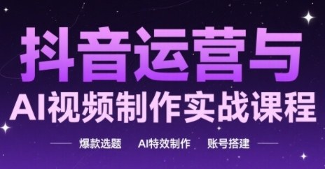 抖音运营与AI视频制作实战课程，爆款选题-AI特效制作-账号搭建-辰风资源站