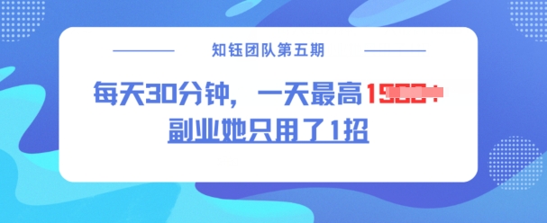 副业她只用了1招，每天30分钟，无脑二创，一天最高1.5k-辰风资源站
