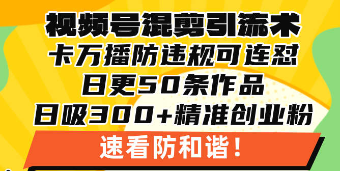 （13400期）视频号混剪引流技术，500万播放引流17000创业粉，操作简单当天学会-慕云辰风博客