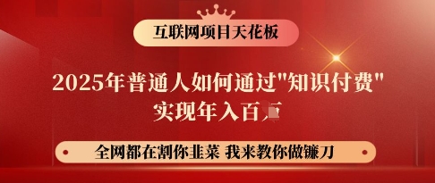 互联网项目天花板，2025年普通人如何通过知识付费实现年入百个【揭秘】-慕云辰风博客