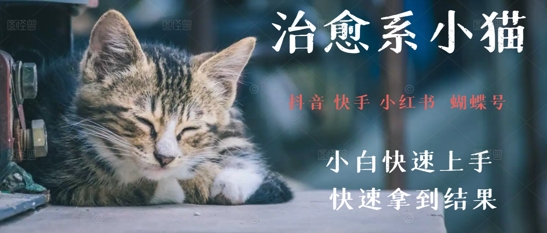 拆解，疯狂火爆！抖音，小红书，视频号小猫治愈的视频，轻松制作+快速拿到结果-辰风资源站