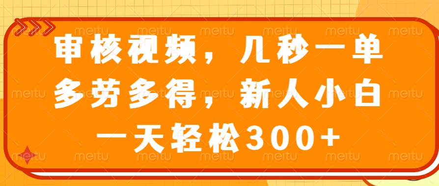 （14294期）审核视频，几秒一单，多劳多得，新人小白一天轻松300+-辰风资源站