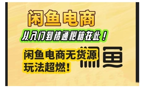 闲鱼电商实战课，从入门到精通秘籍在此，闲鱼电商无货源玩法超燃!-慕云辰风博客