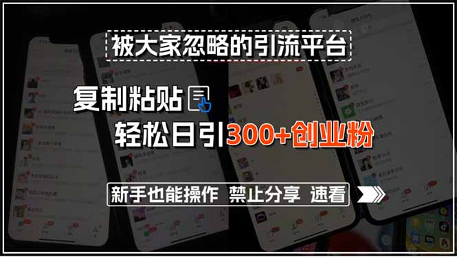 （15428期）被大家忽略的引流平台，复制粘贴轻松日引300+创业粉，新手也能操作，禁…-辰风资源站