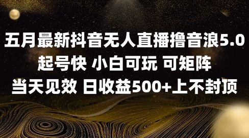 2025五月最新无人直播撸音浪单日产出5张+实操教程【揭秘】-辰风资源站