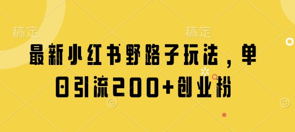 最新小红书野路子玩法，单日引流200+创业粉-辰风资源站
