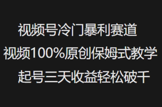 视频号冷门暴利赛道视频100%原创保姆式教学起号三天收益轻松破千-慕云辰风博客