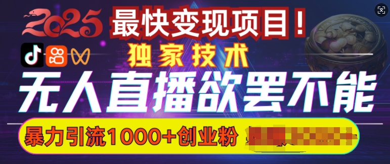 欲罢不能的无人直播引流，超暴力日引流1000+高质量精准创业粉-慕云辰风博客