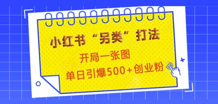 小红书“另类”打法，开局一张图，单日引爆500+精准创业粉【揭秘】-慕云辰风博客