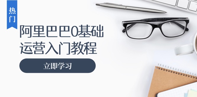 （13291期）阿里巴巴运营零基础入门教程：涵盖开店、运营、推广，快速成为电商高手-慕云辰风博客