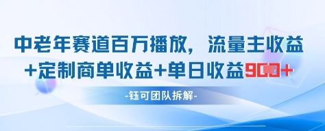 中老年赛道百万播放+流量主收益+定制收益，单日收益9张-辰风资源站