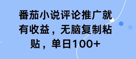 番茄小说评论推广就有收益，无脑复制粘贴，单日100+-辰风资源站