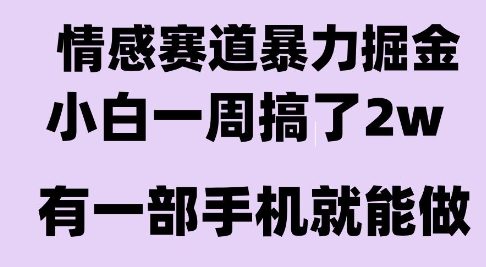 情感暴力掘金项目，新人操作一周挣了2W，长期稳定小白可做【揭秘】-辰风资源站