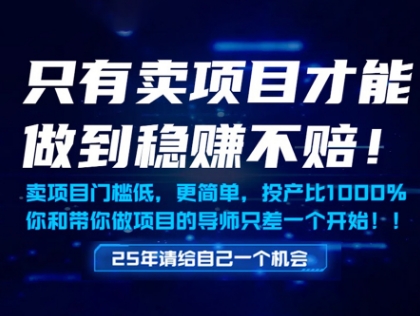 只有卖项目才能做到稳挣不赔，门槛低，更简单，你也可以年入百个W【揭秘】-辰风资源站