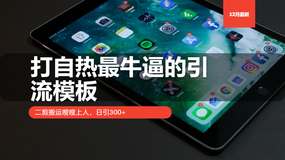 （13654期）打自热最牛逼的引流模板，二剪搬运嗖嗖上人，日引300+-慕云辰风博客