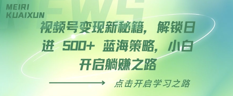 视频号变现新秘籍，解锁日进 5张 蓝海策略，小白开启躺Z之路-辰风资源站