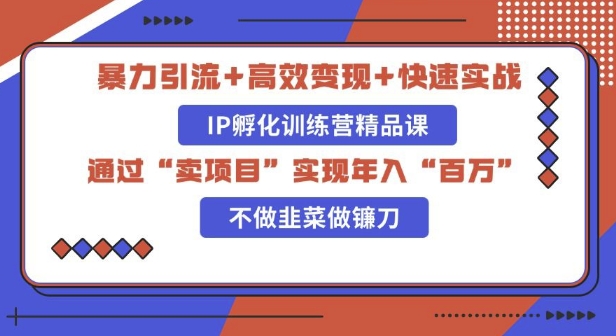 知识付费独家玩法：精准引流+高效变现，简单复制成功模式，最新IP共创导师训练营玩法-慕云辰风博客