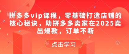 拼多多vip课程，零基础打造店铺的核心秘诀，助拼多多卖家在2025卖出爆款，订单不断-辰风资源站