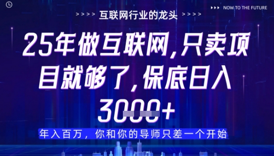 什么！25年你还在找项目做？风口早就变了，卖项目才是稳挣不赔【揭秘】-辰风资源站