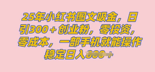 2025年小红书创业粉图文自热教程，日+300创业粉，单日变现多张，无脑操作，宝妈，小白抓紧冲-慕云辰风博客