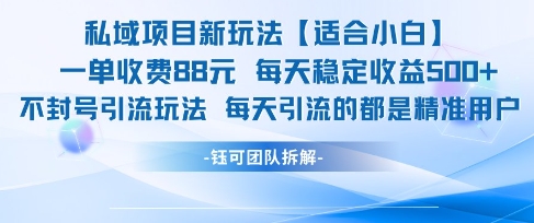 私域项目新玩法【适合小白】 一单收费88.每天稳定收益几张-辰风资源站