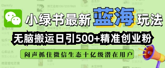 小绿书无脑搬运引流，全自动日引500精准创业粉，微信生态内又一个闷声发财的机会-辰风资源站