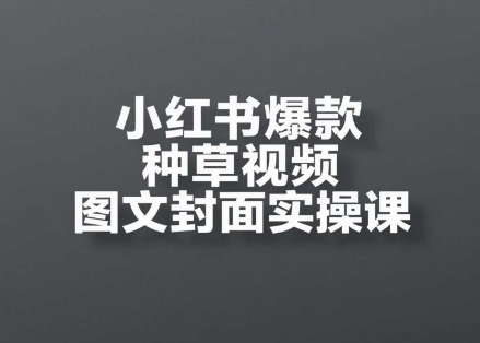 小红书爆款种草视频图文封面实操课，​开店、选品、引流、变现全流程-辰风资源站