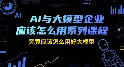 AI与大模型企业应该怎么用系列课程，究竟应该怎么用好大模型-辰风资源站