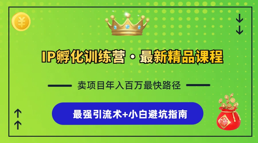 （13055期）IP孵化训练营，知识付费全流程+最强引流术+小白避坑指南-慕云辰风博客