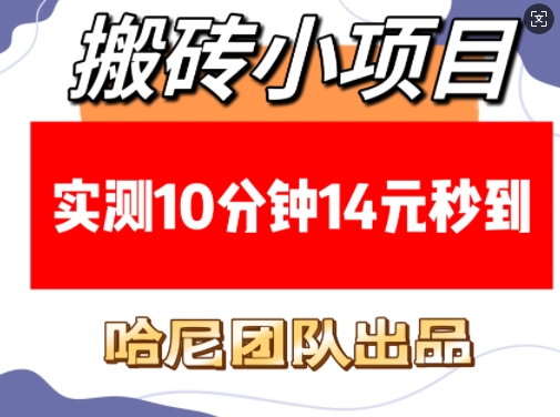 搬砖小项目，实测10分钟14元秒到，每天稳定几张(赠送必看稳定)-辰风资源站