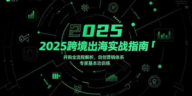 （15503期）2025跨境出海实战指南，并购全流程解析，自创营销体系，专家基本功训练-辰风资源站