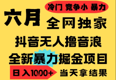 25年6月高爆抖音无人直播最新撸音浪掘金项目，小白可做，无脑日入1k+，门槛低可批量矩阵【揭秘】-辰风资源站