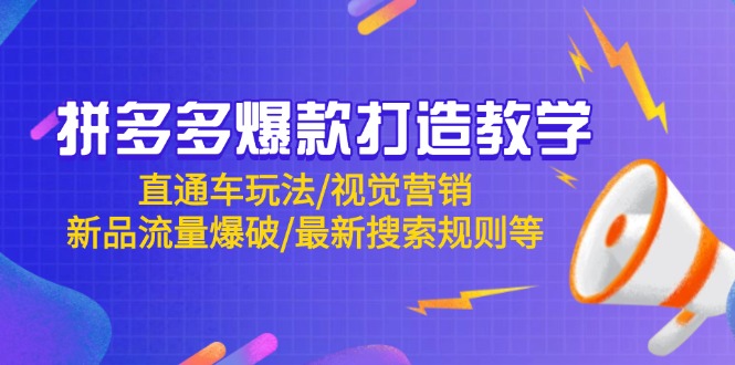 （14681期）拼多多爆款打造教学：直通车玩法/视觉营销/新品流量爆破/最新搜索规则等-辰风资源站