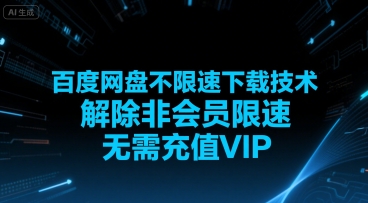 百度网盘不限速下载技术，解除非会员限速，无需充值VIP-辰风资源站