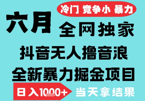 2025年6月高爆抖音无人直播最新撸音浪掘金项目，无脑日入1k+，低门槛小白可做，可矩阵放大【揭秘】-辰风资源站